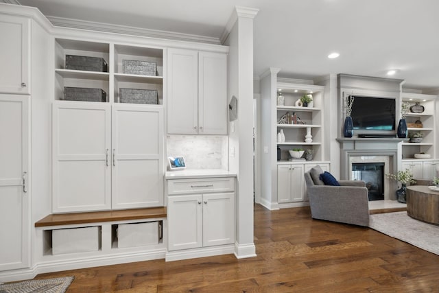 1018 Buddleia Ln, Franklin, TN 37067 - mudroom with ornamental molding, dark wood finished floors, a high end fireplace, recessed lighting, and built in features