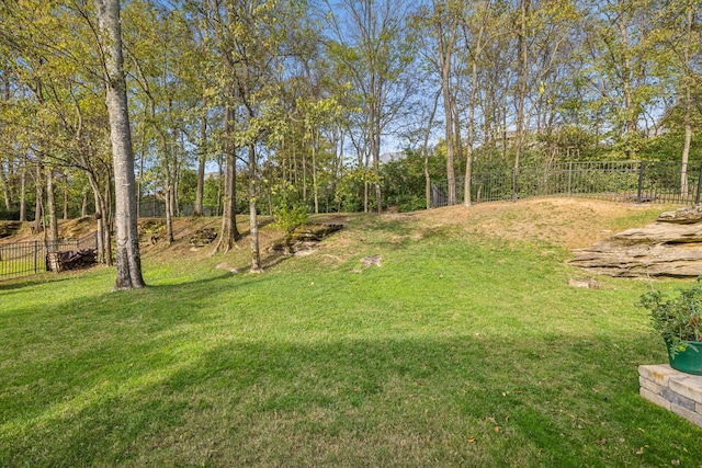 1018 Buddleia Ln, Franklin, TN 37067 - view of yard