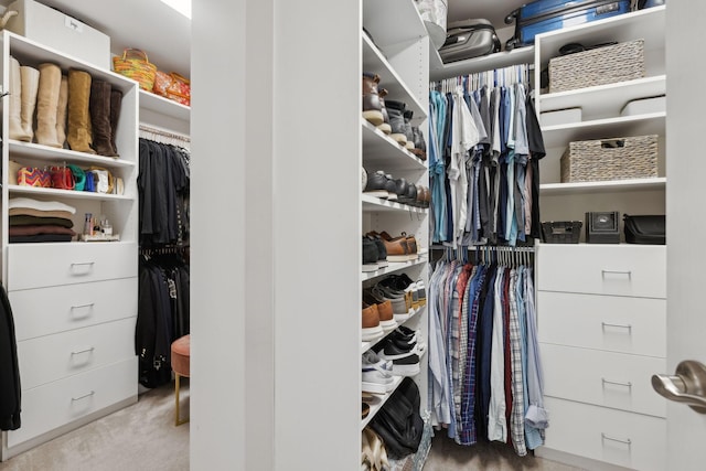 1018 Buddleia Ln, Franklin, TN 37067 - spacious closet with carpet floors