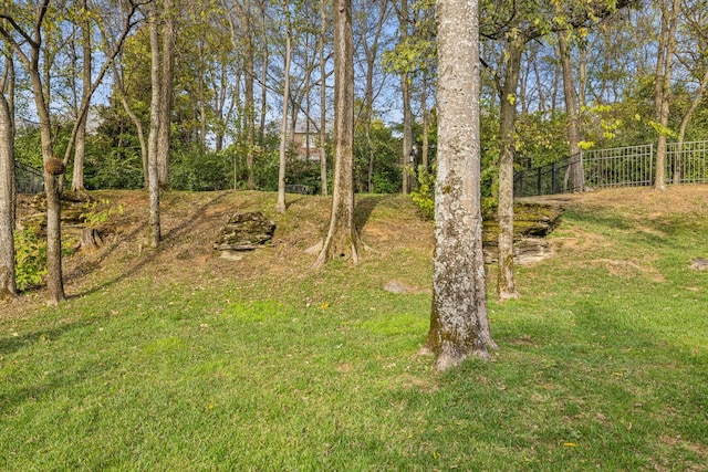 1018 Buddleia Ln, Franklin, TN 37067 - view of yard