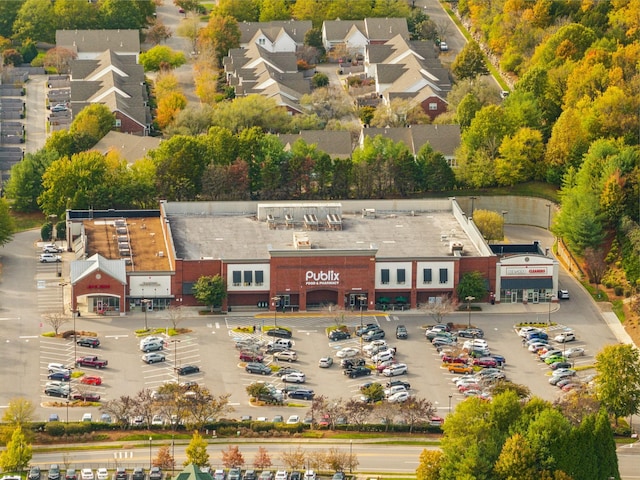 1018 Buddleia Ln, Franklin, TN 37067 - bird's eye view