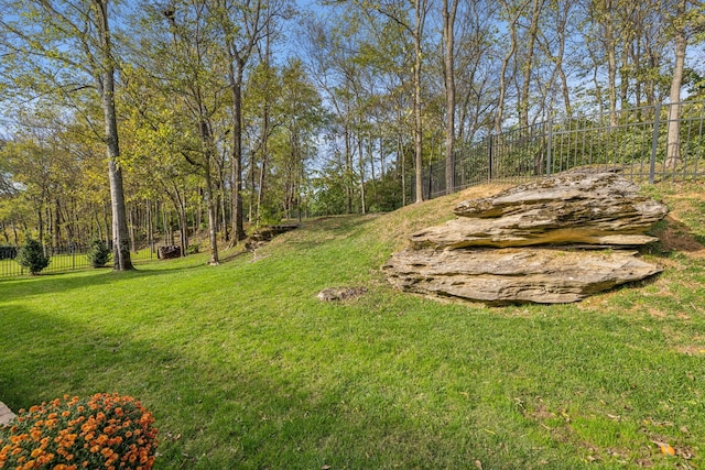 1018 Buddleia Ln, Franklin, TN 37067 - view of yard
