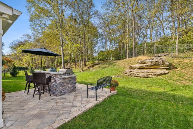 1018 Buddleia Ln, Franklin, TN 37067 - view of yard with an outdoor kitchen and a patio area