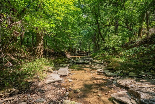 2290 Osburn Rd, Arrington, TN 37014 - view of wooded area
