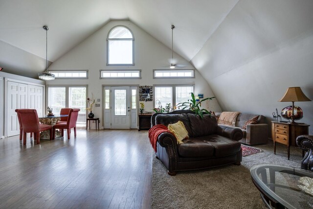 2290 Osburn Rd, Arrington, TN 37014 - living room featuring wood finished floors and high vaulted ceiling