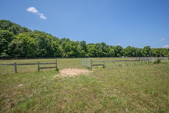 2290 Osburn Rd, Arrington, TN 37014 - view of yard with a view of countryside and a view of trees