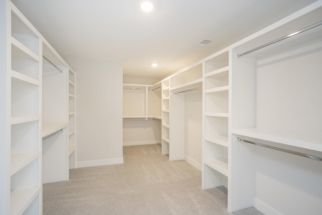 1137 Lawrence Ave Unit 1, Madison, TN 37115 - spacious closet with light colored carpet