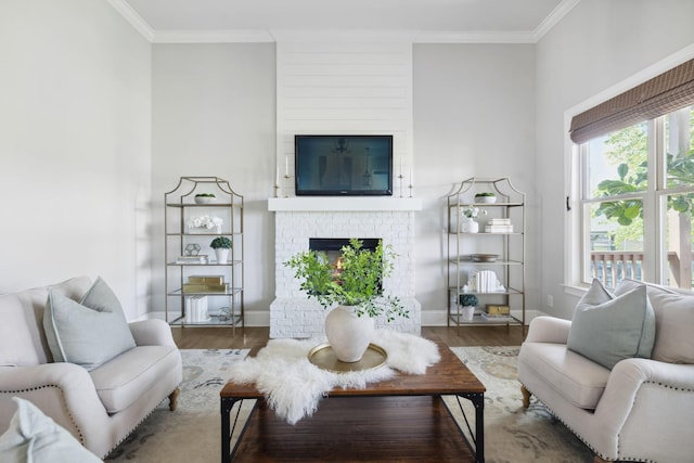 4136 Banner Square Ln, Arrington, TN 37014 - living room featuring a fireplace, wood finished floors, ornamental molding, and healthy amount of natural light