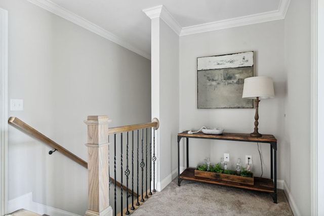 4136 Banner Square Ln, Arrington, TN 37014 - hallway with an upstairs landing, ornamental molding, baseboards, and carpet flooring