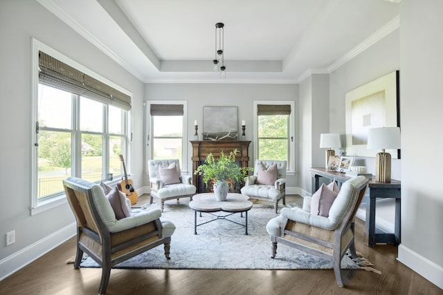 4136 Banner Square Ln, Arrington, TN 37014 - living room with a raised ceiling, baseboards, and wood finished floors