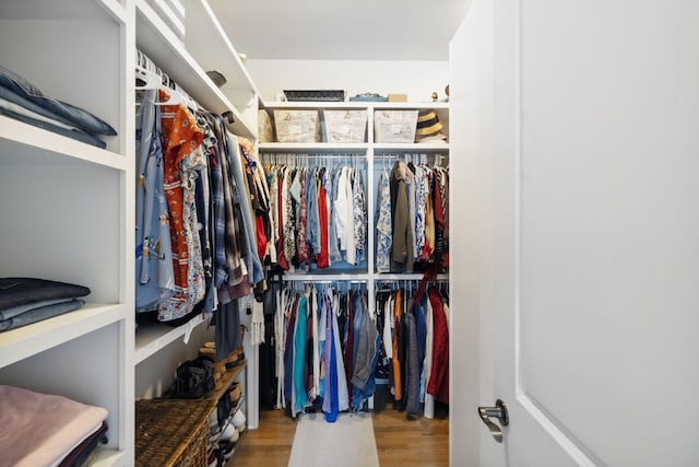 4136 Banner Square Ln, Arrington, TN 37014 - spacious closet with wood finished floors