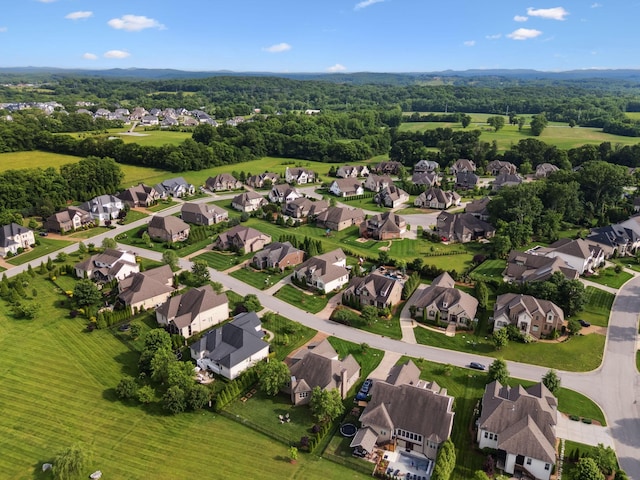 4136 Banner Square Ln, Arrington, TN 37014 - aerial perspective of suburban area