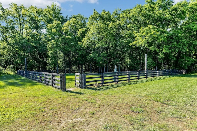4136 Banner Square Ln, Arrington, TN 37014 - view of yard