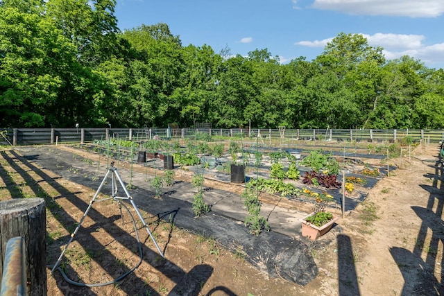 4136 Banner Square Ln, Arrington, TN 37014 - view of yard with a vegetable garden and a wooded view