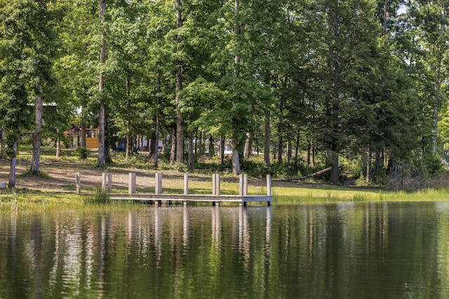 113 Hemlock Cv, Tracy City, TN 37387