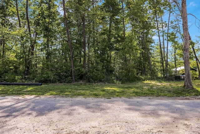 113 Hemlock Cv, Tracy City, TN 37387