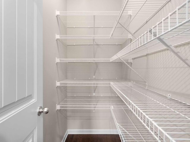 3029 Alan Dr, Spring Hill, TN 37174 - view of pantry