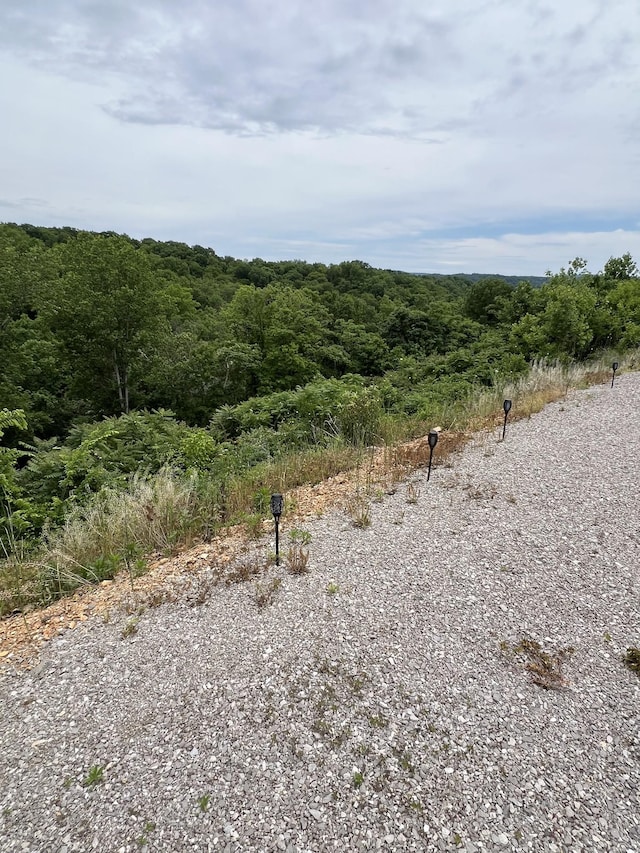 225 Bill Hunter Rd, Celina, TN 38551 - view of tree filled area