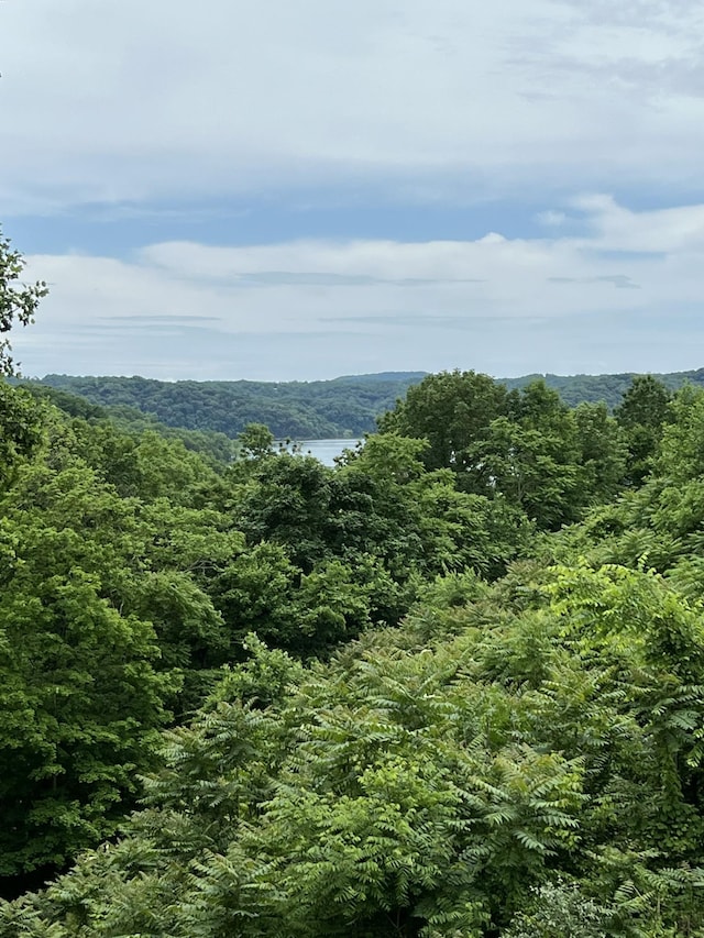 225 Bill Hunter Rd, Celina, TN 38551 - view of mountain background featuring a heavily wooded area