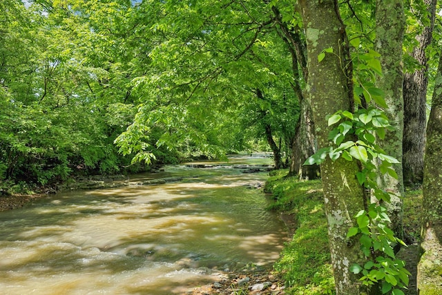 200 Lindsey Hollow Rd, Gallatin, TN 37066 - view of yard