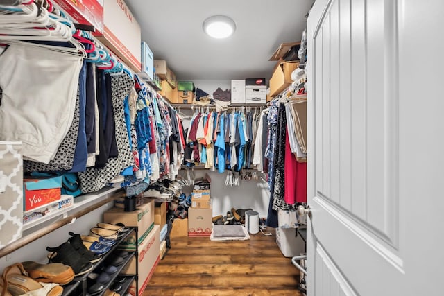 200 Lindsey Hollow Rd, Gallatin, TN 37066 - walk in closet with wood finished floors