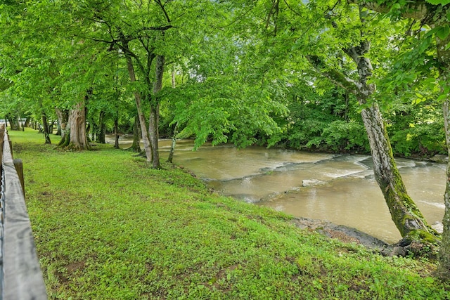 200 Lindsey Hollow Rd, Gallatin, TN 37066 - view of yard