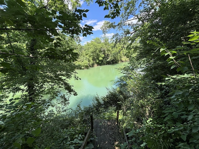 1054 Cragfront Est Loop, Gallatin, TN 37066 - water view with a heavily wooded area