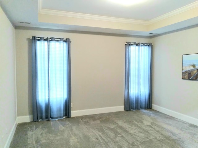 168 Cobbler Cir, Hendersonville, TN 37075 - carpeted spare room with a raised ceiling, crown molding, and baseboards