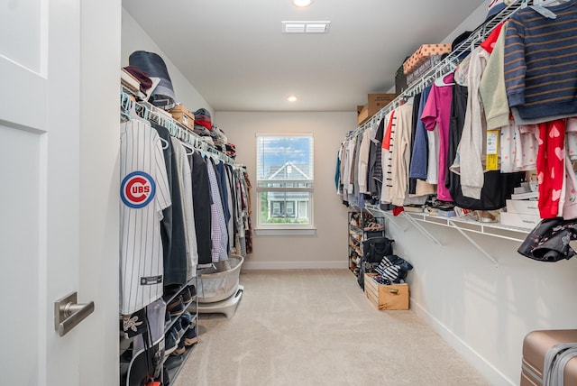 3232 Firerock Dr, Murfreesboro, TN 37128 - spacious closet with carpet