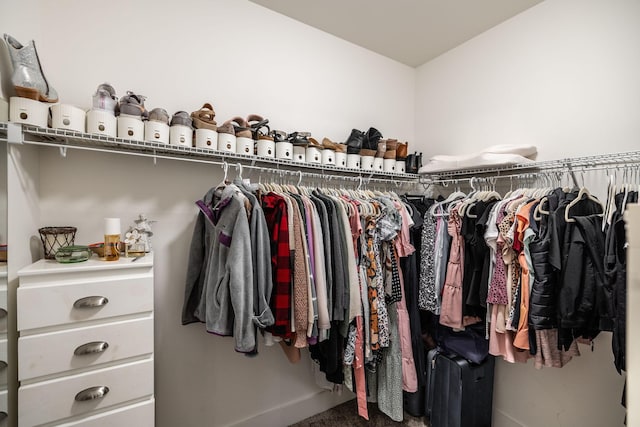 725B N Russell St, Portland, TN 37148 - walk in closet featuring carpet flooring