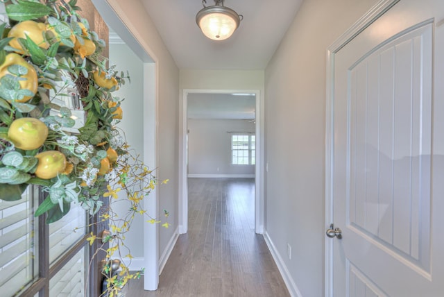 2009 Tulu Ct, Murfreesboro, TN 37128 - corridor with baseboards and hardwood / wood-style flooring