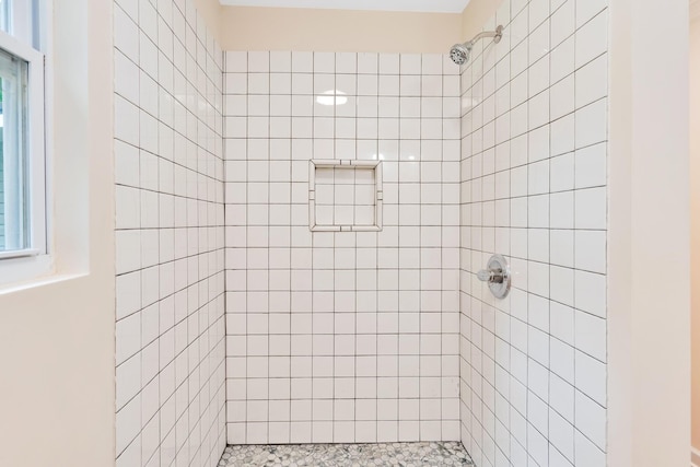 1318 Hwy S Unit 341, Chickamauga, GA 30707 - bathroom with tiled shower
