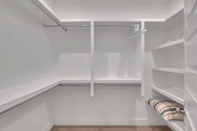 500 Creative Way Unit 16, Madison, TN 37115 - walk in closet with carpet floors