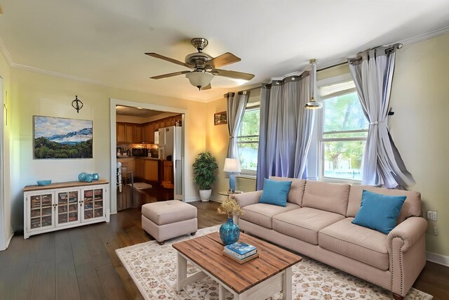 155 Thomas St, Savannah, TN 38372 - living room with a ceiling fan, dark wood finished floors, and crown molding