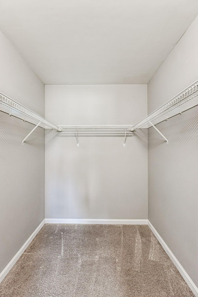 710 Krissy Ct, Columbia, TN 38401 - spacious closet featuring carpet floors