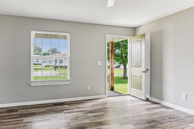 710 Krissy Ct, Columbia, TN 38401 - entryway with plenty of natural light, baseboards, and wood finished floors