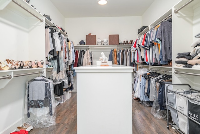 2036 Bocage Cir, Nolensville, TN 37135 - spacious closet featuring wood finished floors