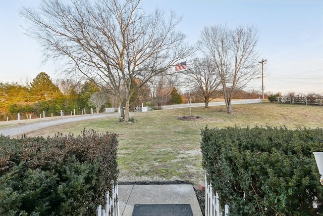5430 Stacy Springs Rd, Springfield, TN 37172 - view of yard