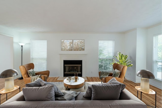 405 Parish Pl, Franklin, TN 37067 - living area featuring a fireplace with flush hearth, wood finished floors, crown molding, and baseboards