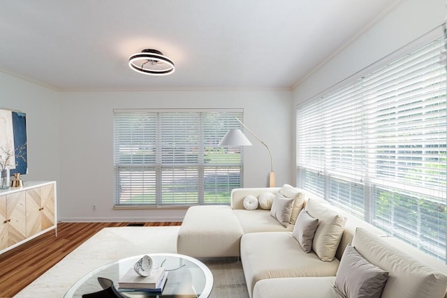 405 Parish Pl, Franklin, TN 37067 - living area with plenty of natural light, wood finished floors, ornamental molding, and baseboards