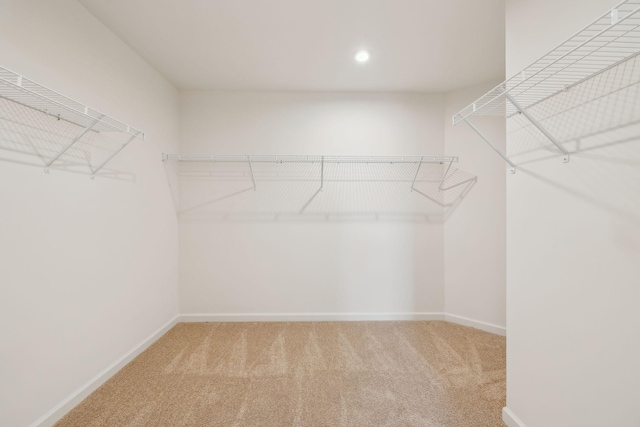 129 Willow Bend Dr, Mount Juliet, TN 37122 - spacious closet featuring carpet flooring