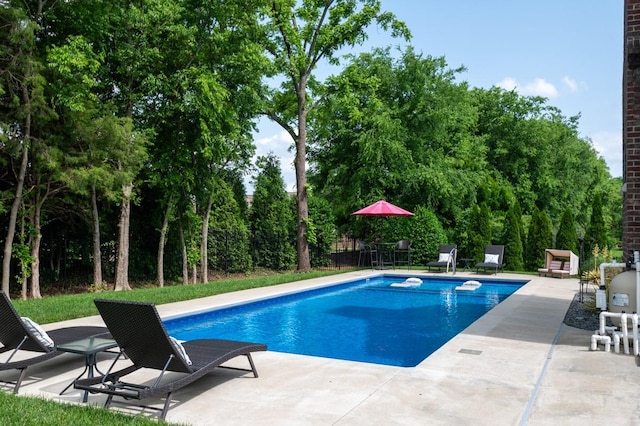 1237 Potter Ln, Gallatin, TN 37066 - view of pool featuring a patio area and view of wooded area