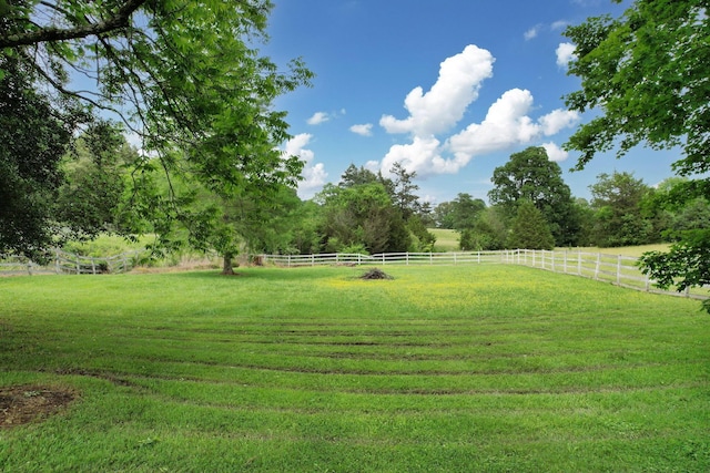 4957 Decatur Highway Highway, Ten Mile, TN 37880 - view of yard with a view of rural / pastoral area