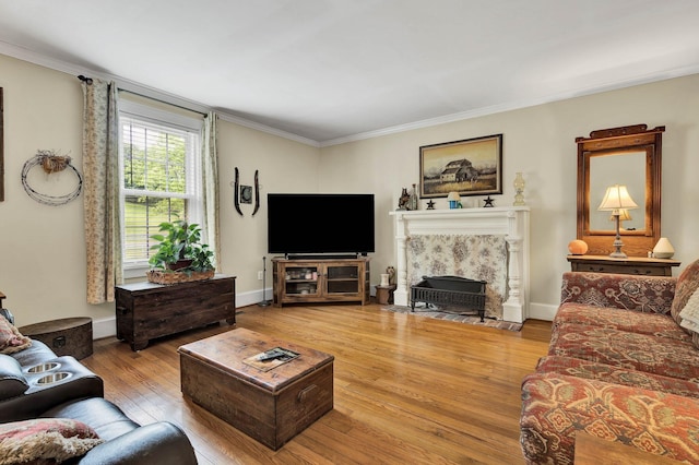 4957 Decatur Highway Highway, Ten Mile, TN 37880 - living room featuring wood-type flooring, ornamental molding, a premium fireplace, and baseboards