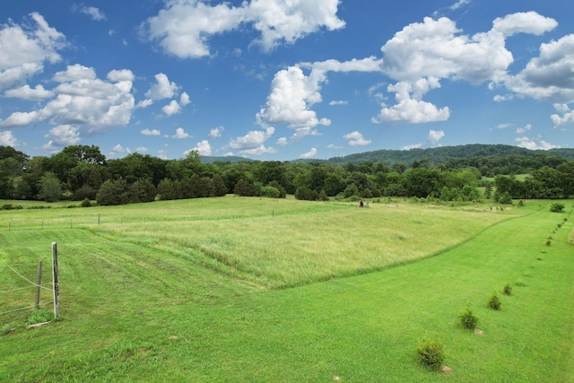 4957 Decatur Highway Highway, Ten Mile, TN 37880 - view of community with a view of rural / pastoral area and a wooded view