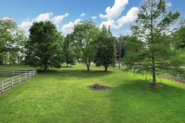 4957 Decatur Highway Highway, Ten Mile, TN 37880 - view of yard