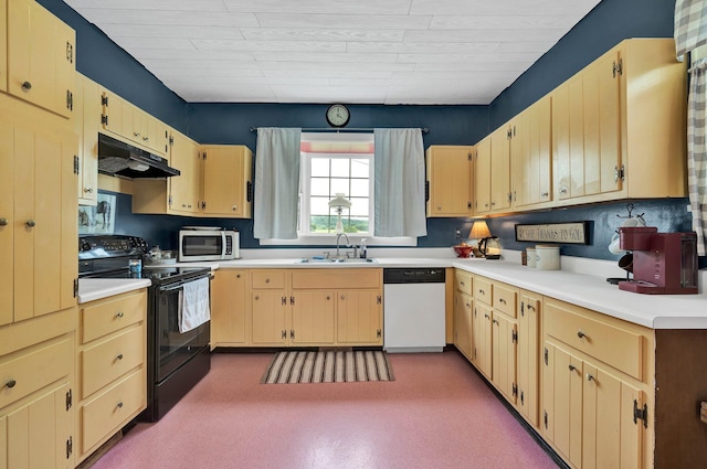 4957 Decatur Highway Highway, Ten Mile, TN 37880 - kitchen featuring dishwasher, black electric range, under cabinet range hood, a sink, and light countertops
