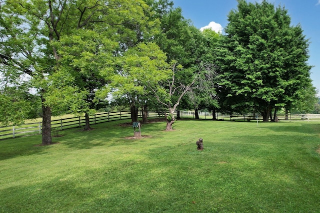 4957 Decatur Highway Highway, Ten Mile, TN 37880 - view of yard
