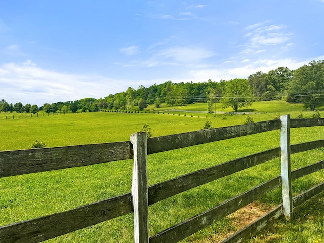 4957 Decatur Highway Highway, Ten Mile, TN 37880 - view of yard with a rural view