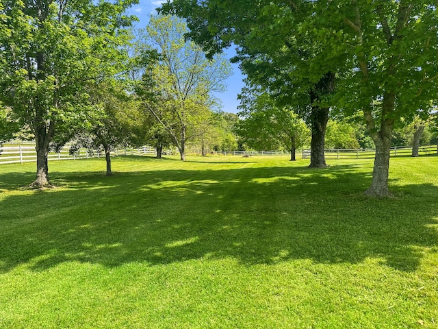 4957 Decatur Highway Highway, Ten Mile, TN 37880 - view of yard